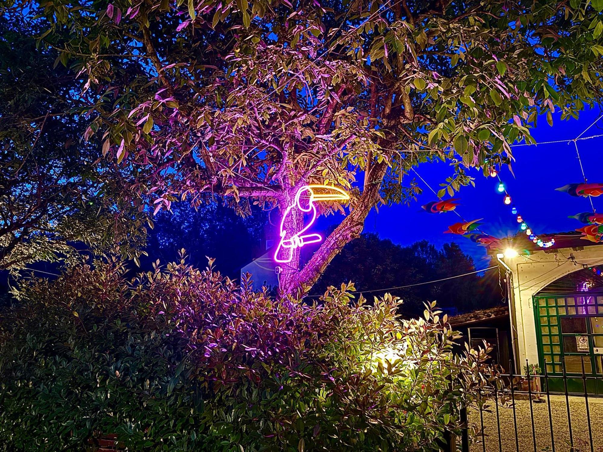 B&B La Borasca Casalpusterlengo Buitenkant foto